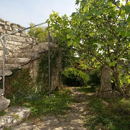 Rosemary Villa *