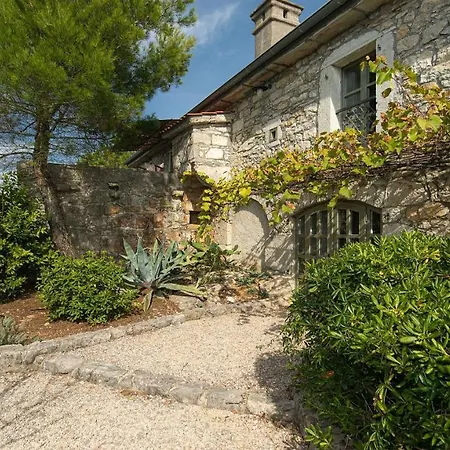 Rosemary * Bajcici